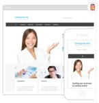 Enterprise Pro Mobile Responsive SEO Friendly Web Site Theme