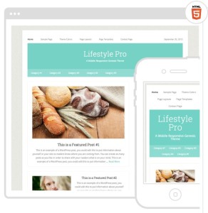 Lifestyle Pro Mobile Responsive SEO Friendly Web Site Theme