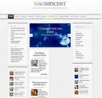 “The Magnificent” SEO Web Site Customized Theme